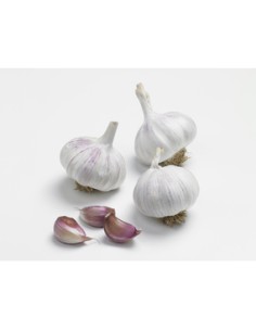 Plants de bulbes potagers - variété ail rose GARDOS