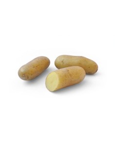 +  Sélection de nos experts Plants de pommes de terre -...