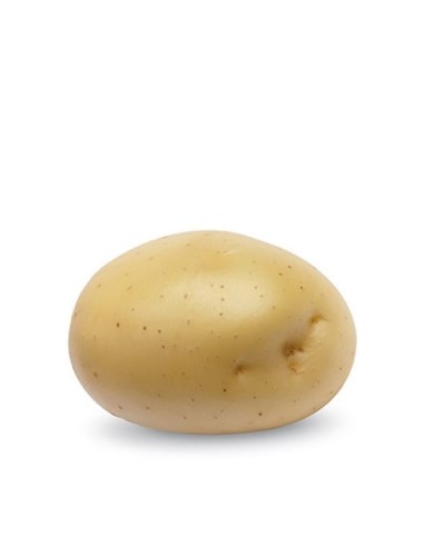 Plants de pommes de terre - variété PRIMABELLE